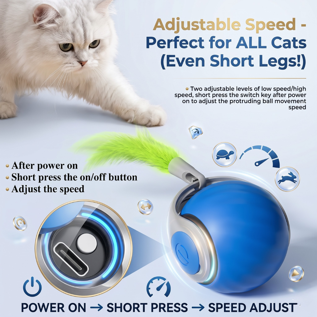 Smart Interactive Cat Toy