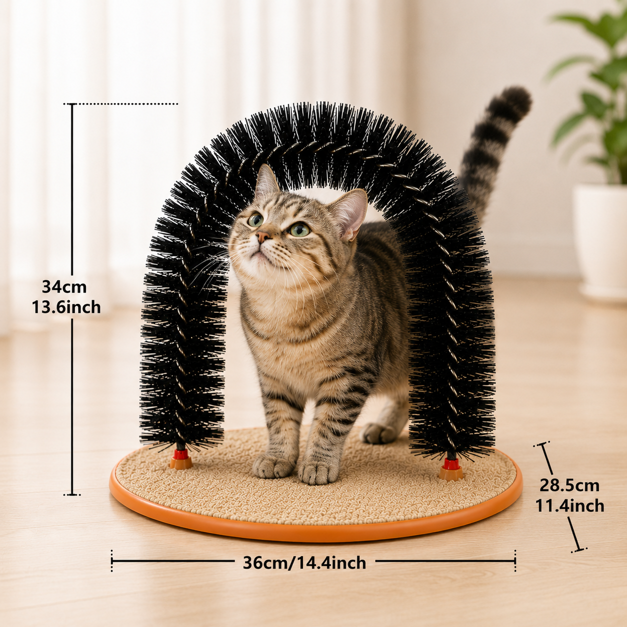 Cat Self Groom Arch