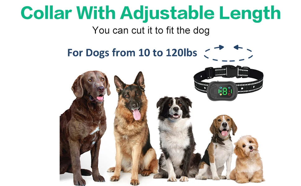 Long Range Pet Training Collar