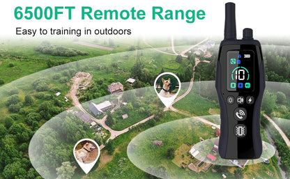 Long Range Pet Training Collar