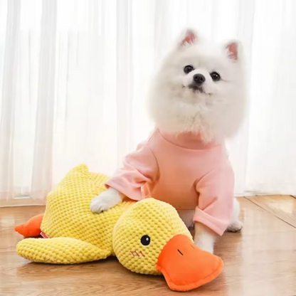 Plush Duck Dog Toy