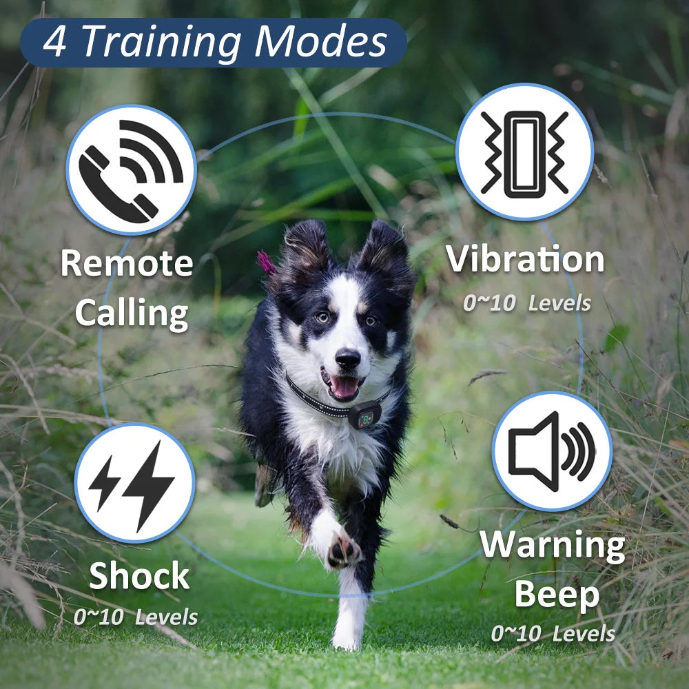 Long Range Pet Training Collar